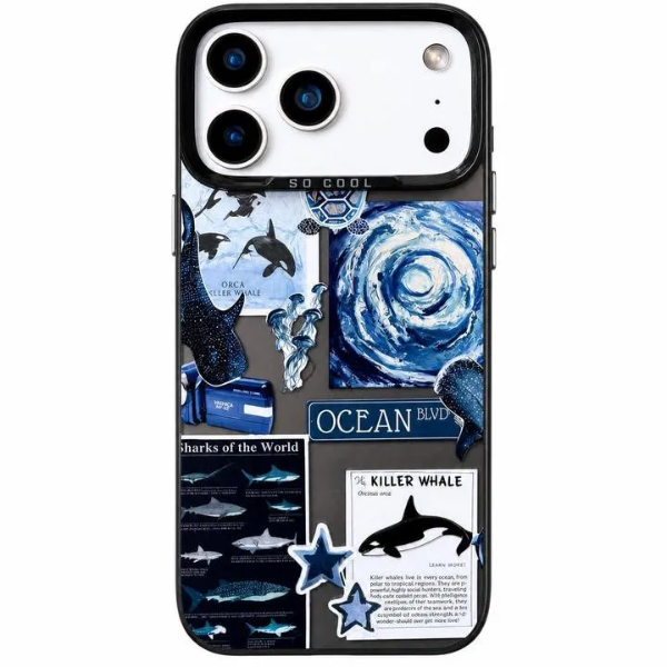 قاب سوکول ocean قاب سوکول ocean